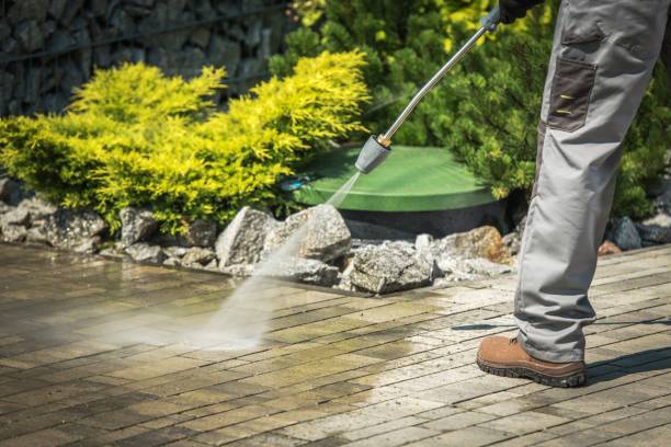 Best Roof Washing  in Morro Bay, CA